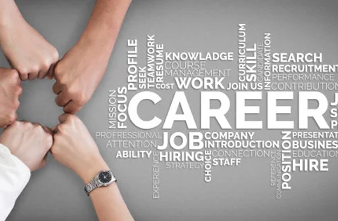 Vsscareerg
